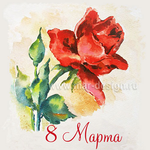 Заказать акварельную открытку с розой в студии MAR-design